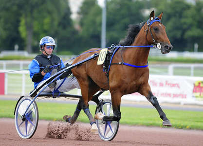 Actualités Hippiques